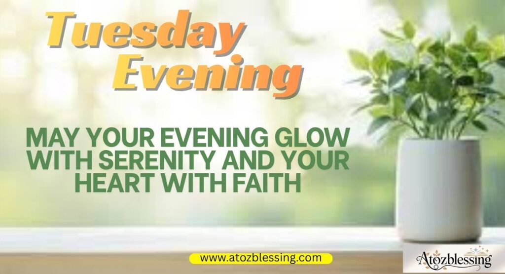 Happy Tuesday Evening