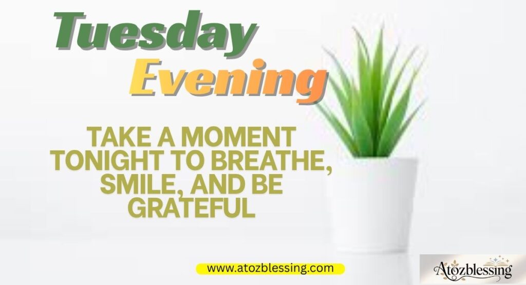 good evening tuesday