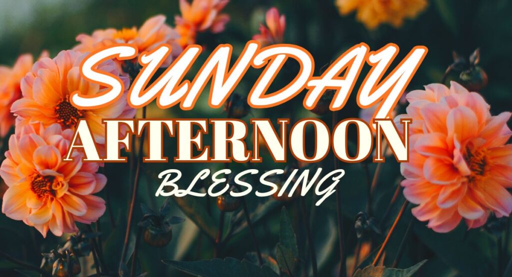 Sunday afternoon blessings 